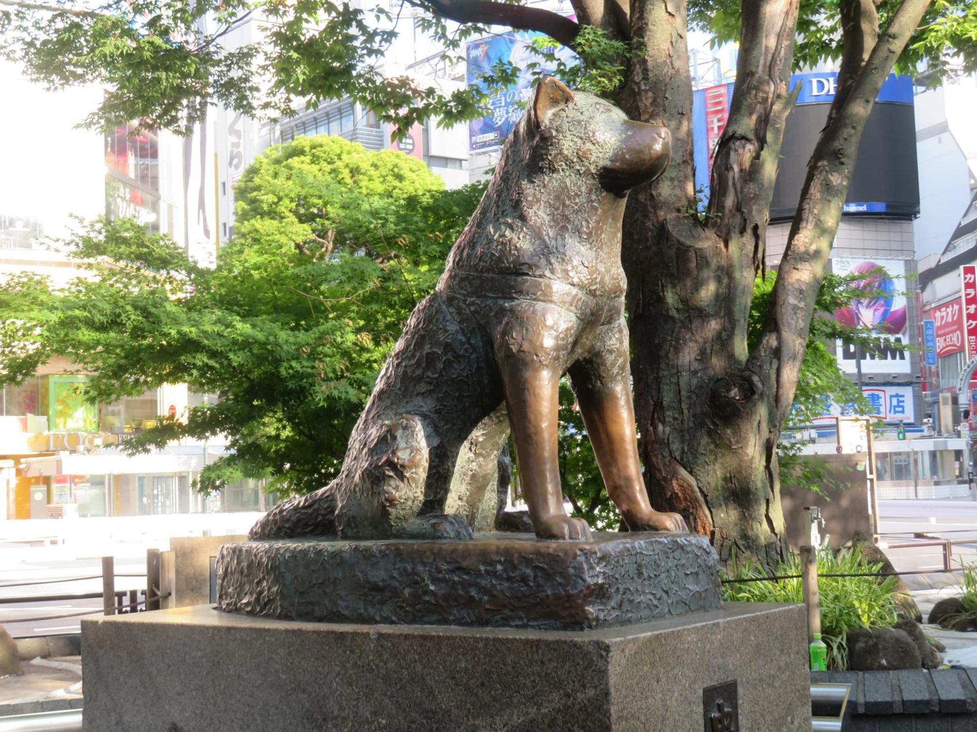 Apa Hotel Shibuya Dogenzakaue Tokyo Esterno foto